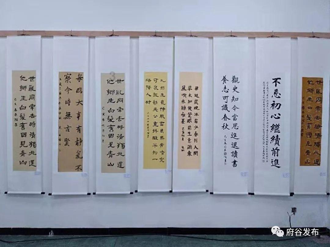 虫虫助手下载