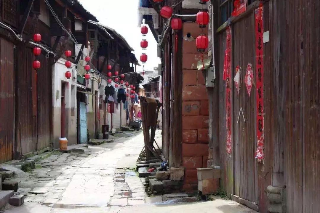 怎么做鸡蛋羹啊？游戏画面